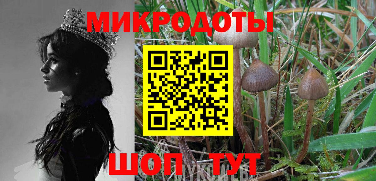 Псилоцибиновые грибы мицелий  Вход с VPN  Карталы  купить наркотики сайты  Галлюциногенные грибы GOLDEN TEACHER 